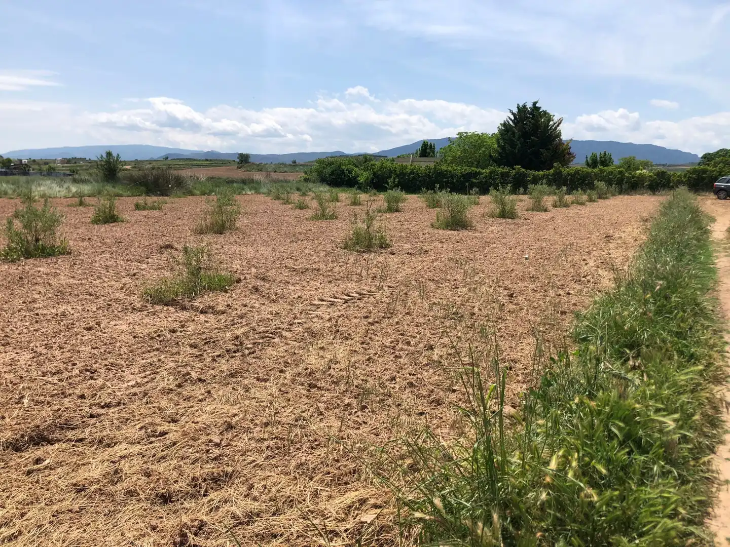 Terreny rústic en venda a Murillo de Río Leza, imagen 17