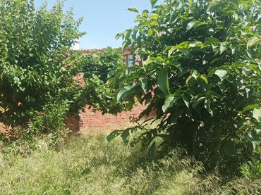Lands and plots for sale in Quintanar de la Orden