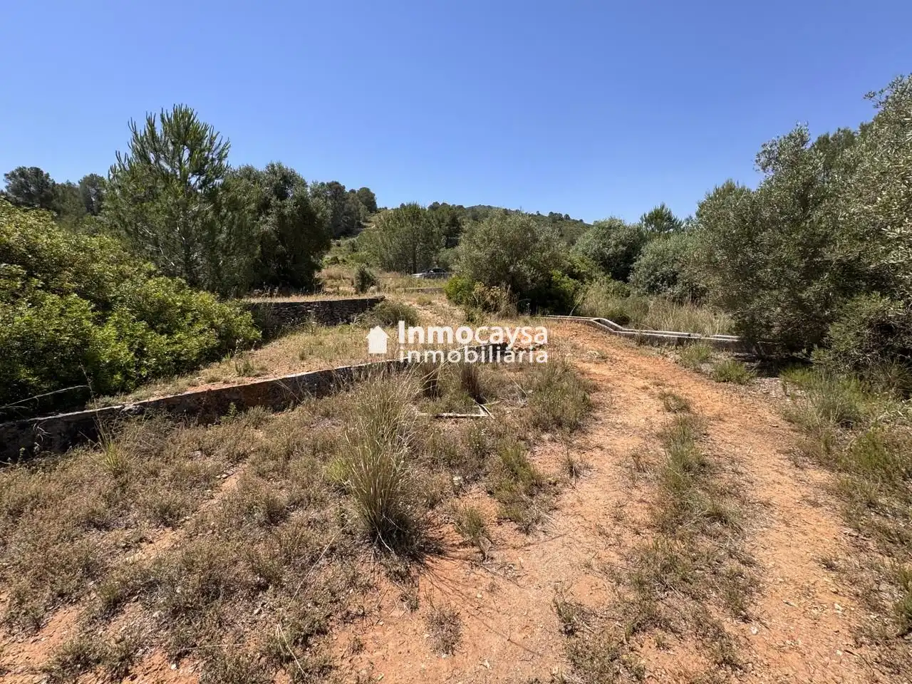 Terreno en venta en Montesa