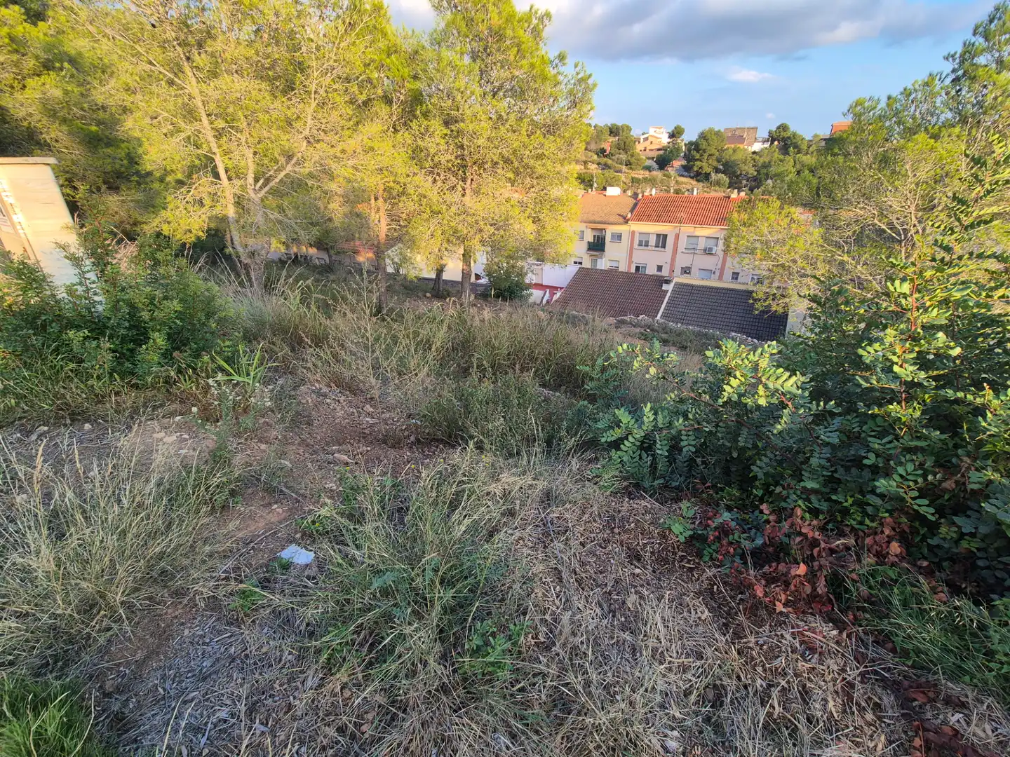 Terreny residencial en venda a Roda de Barà, imagen 8