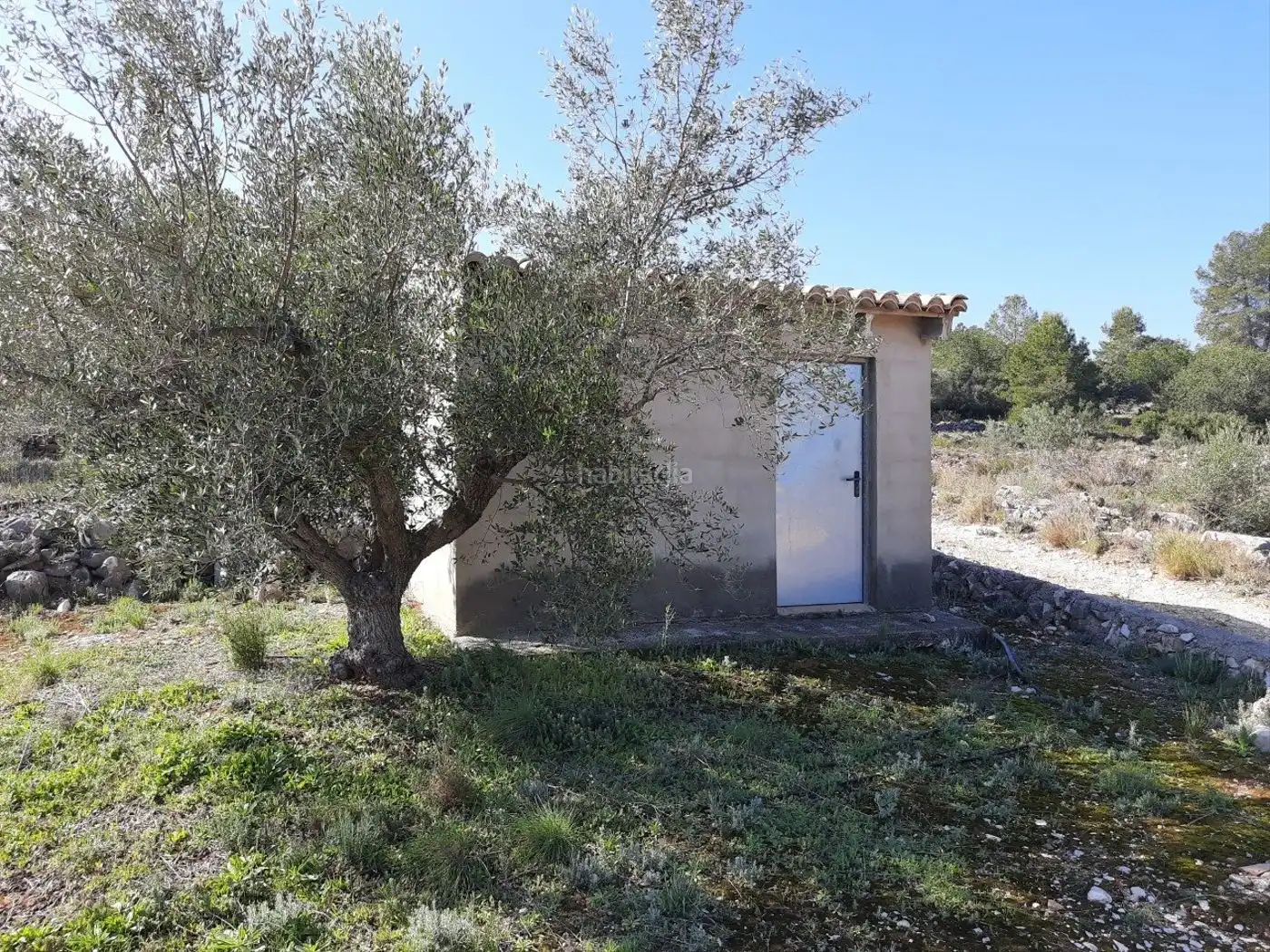 Rustikales Grundstück zum Verkauf in Diseminado Poligono 10 12B, imagen 5