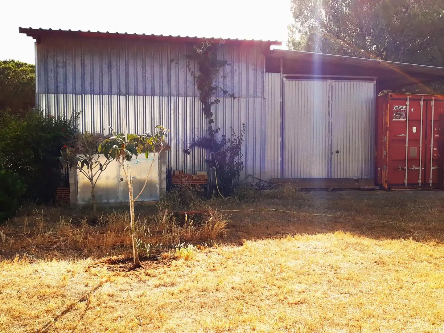 Jardín de Casa o chalet en venta en Puerto Real