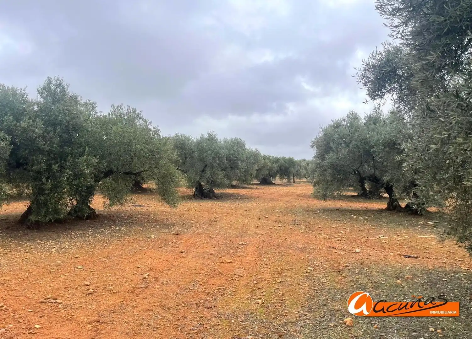 Terrenos y solares en venta en Alameda, imagen 29