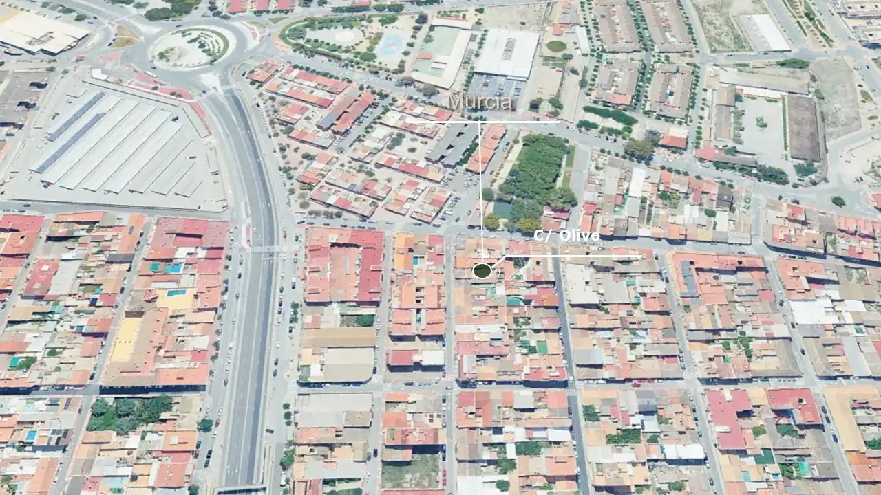 Terreny rústic en venda a C/ Olivo, imagen 4