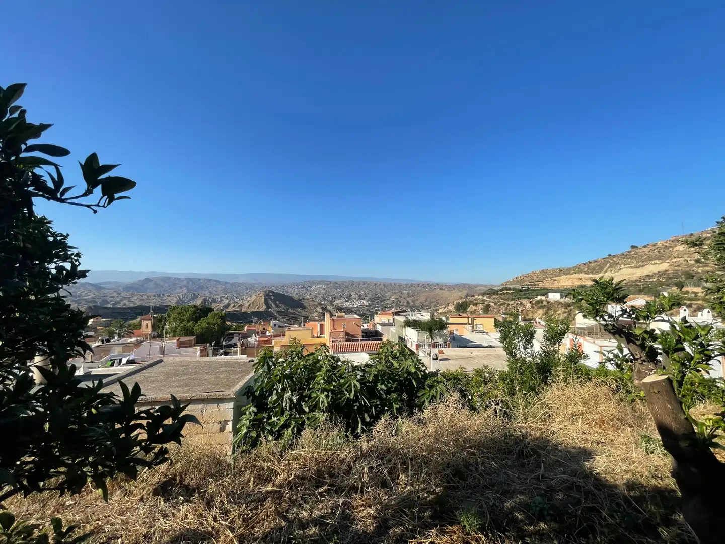 Vista exterior de Terreno en venta en Alicún