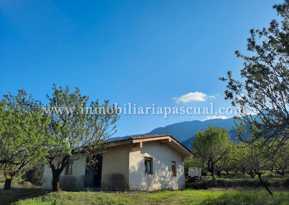 Jardí de Casa o xalet en venda en Muro de Alcoy