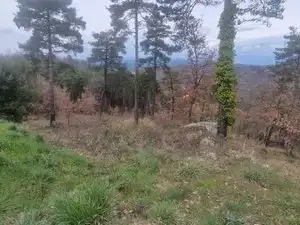 Residential land for sale in Carrer de l'Estany 408, imagen 15