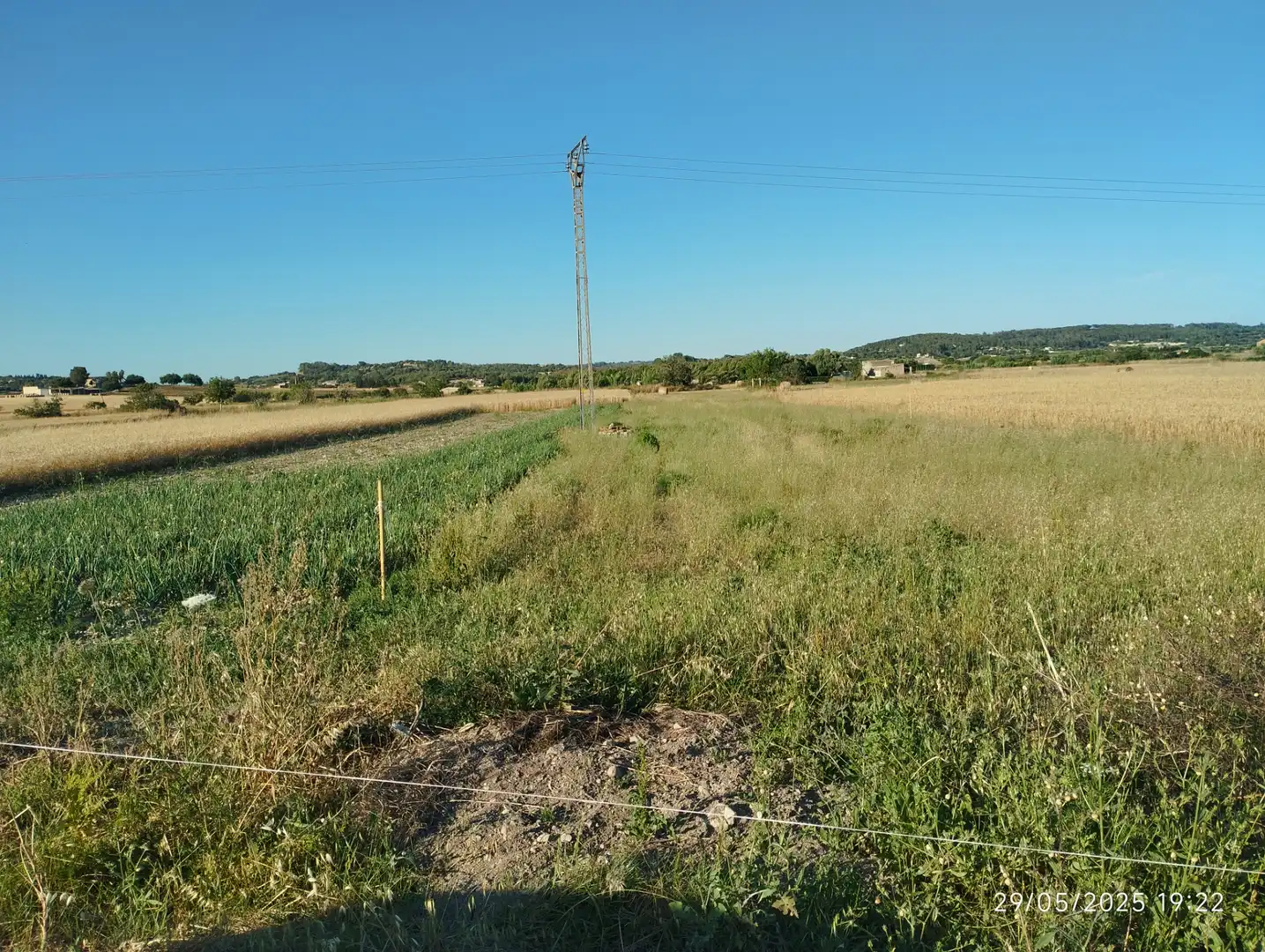 Terreno rustico in vendita a Montuïri, imagen 3