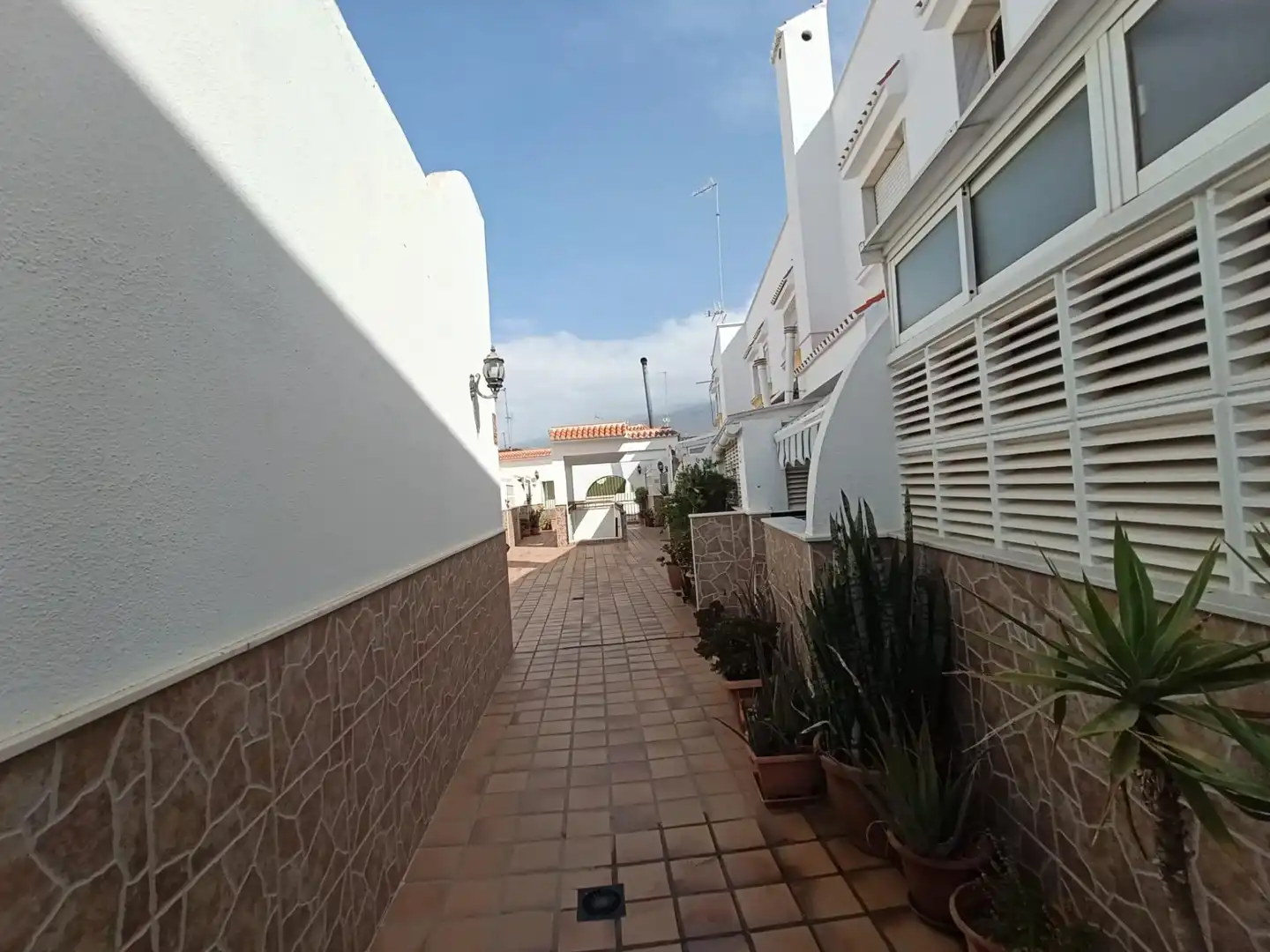 Vista exterior de Casa o xalet en venda en El Ejido amb Aire condicionat, Terrassa i Moblat