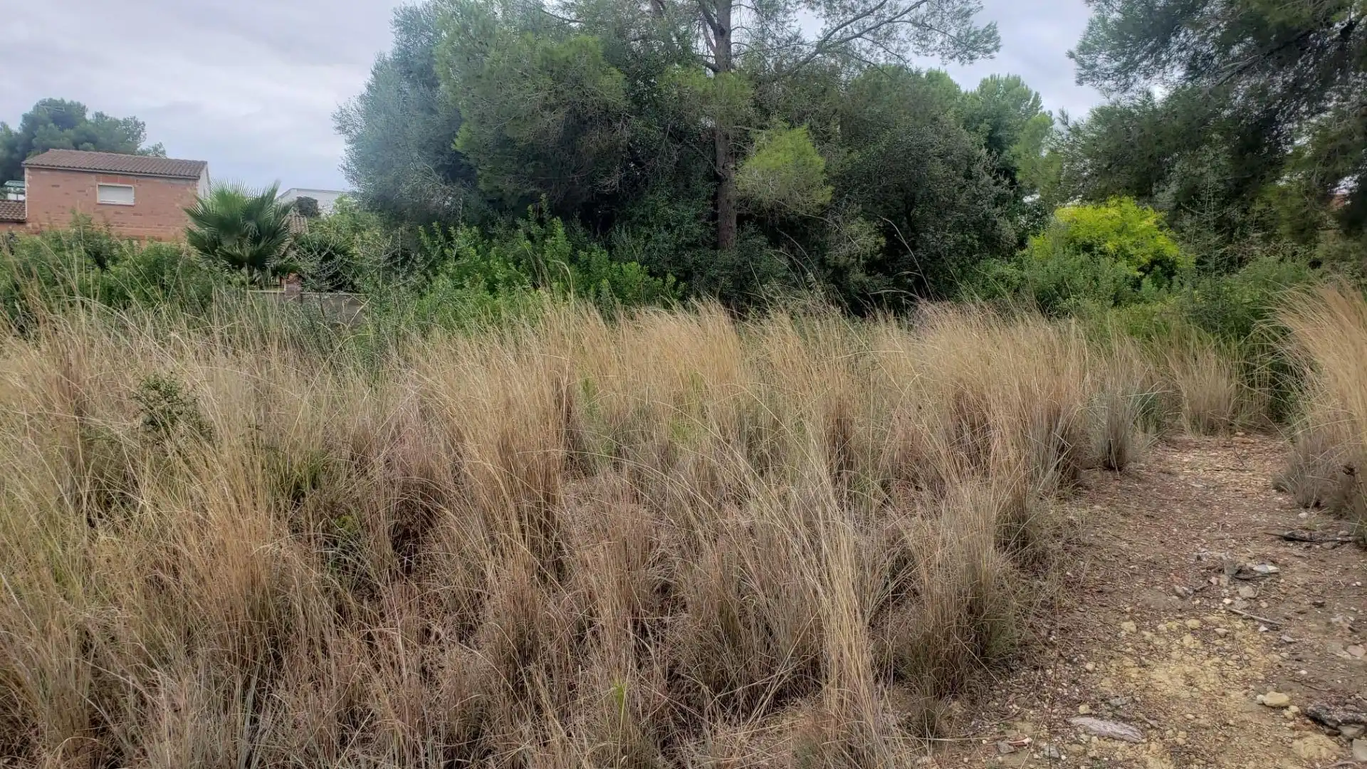 Residential land for sale in Calle dels Almogavers 6, imagen 6