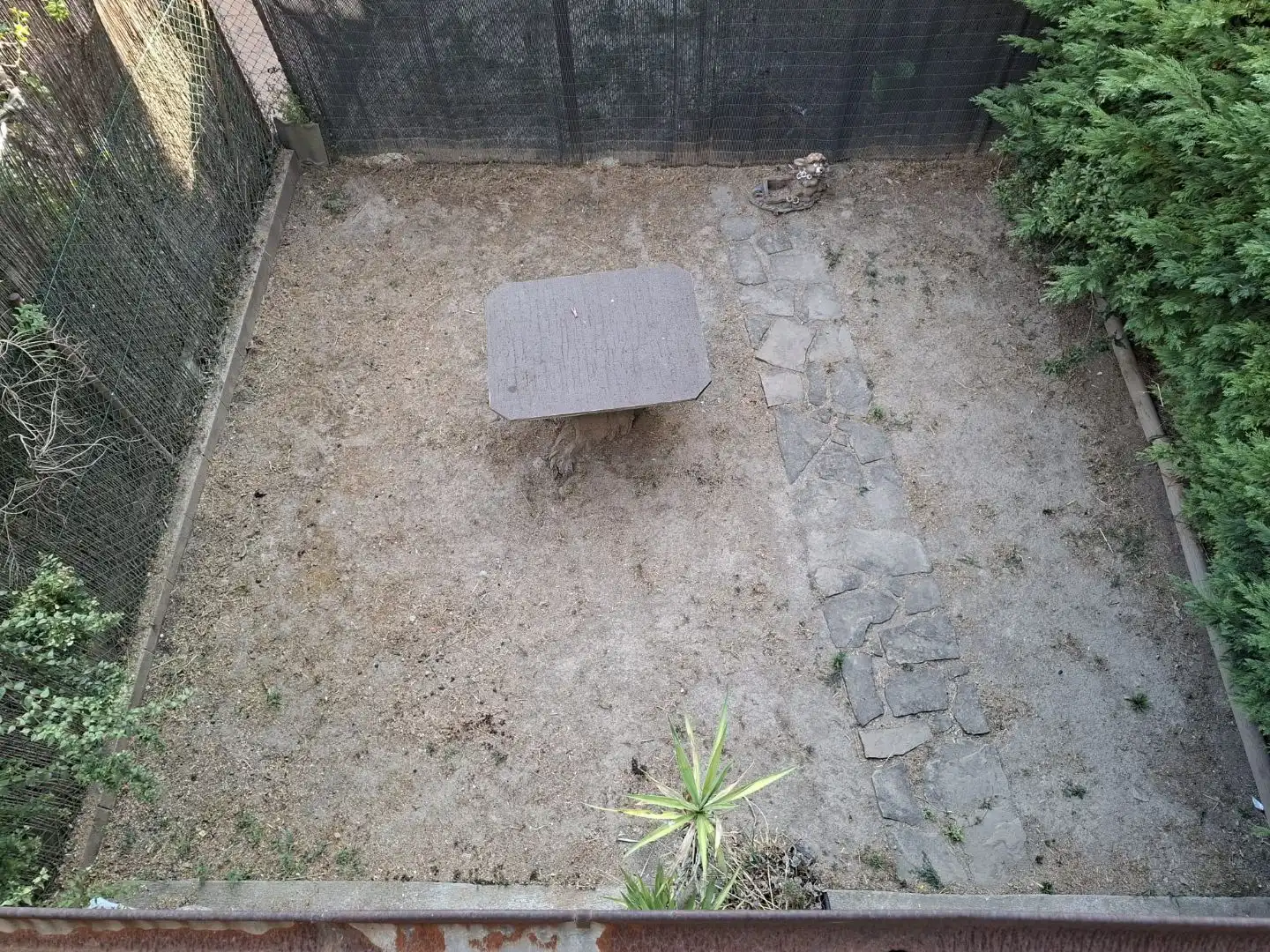 House with garden for sale in Carrer de Rupit 1, imagen 15