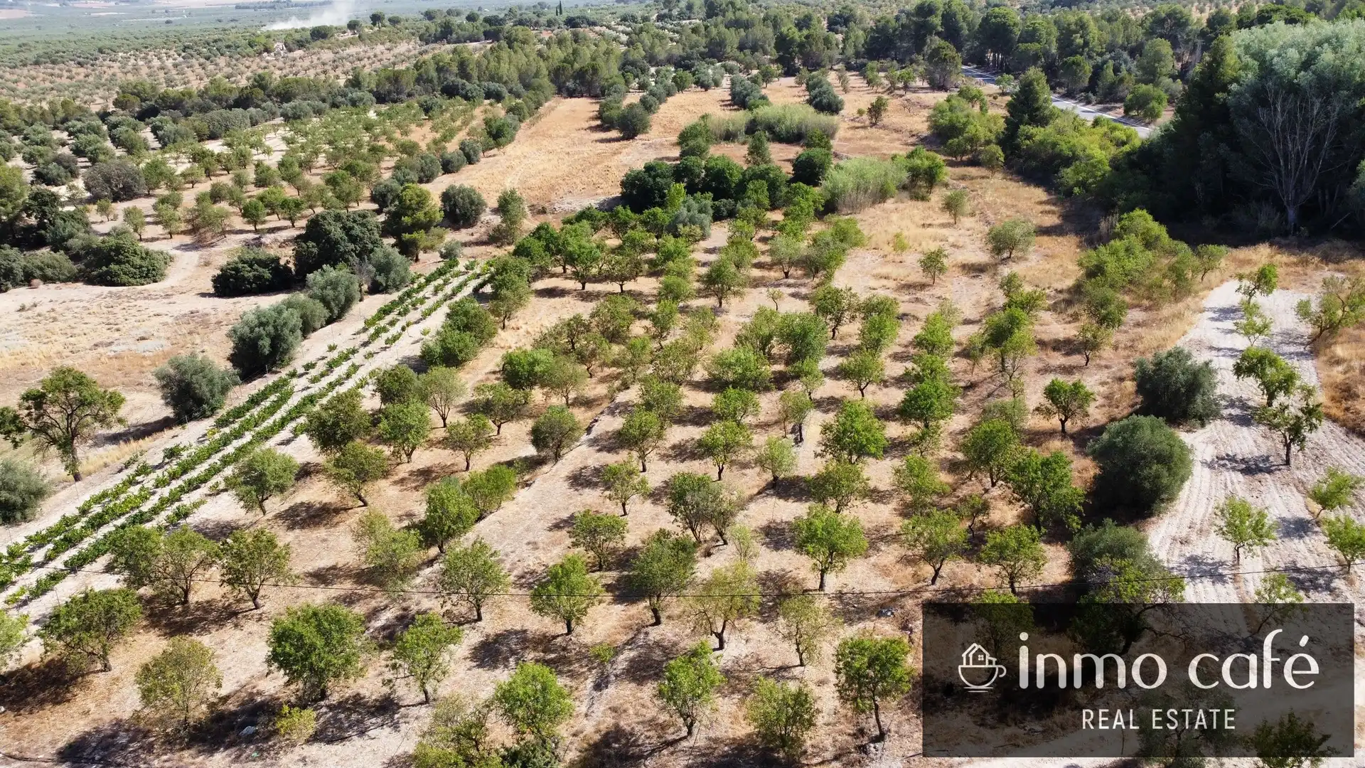 Terreno rustico in vendita a Polígono, imagen 2