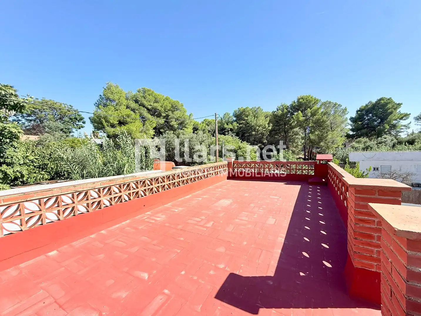 Rural land for sale in Nord, imagen 22
