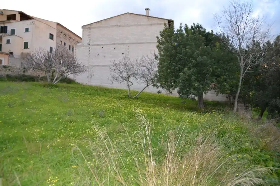 Terrenys i solars en venda a Campanet, imagen 7