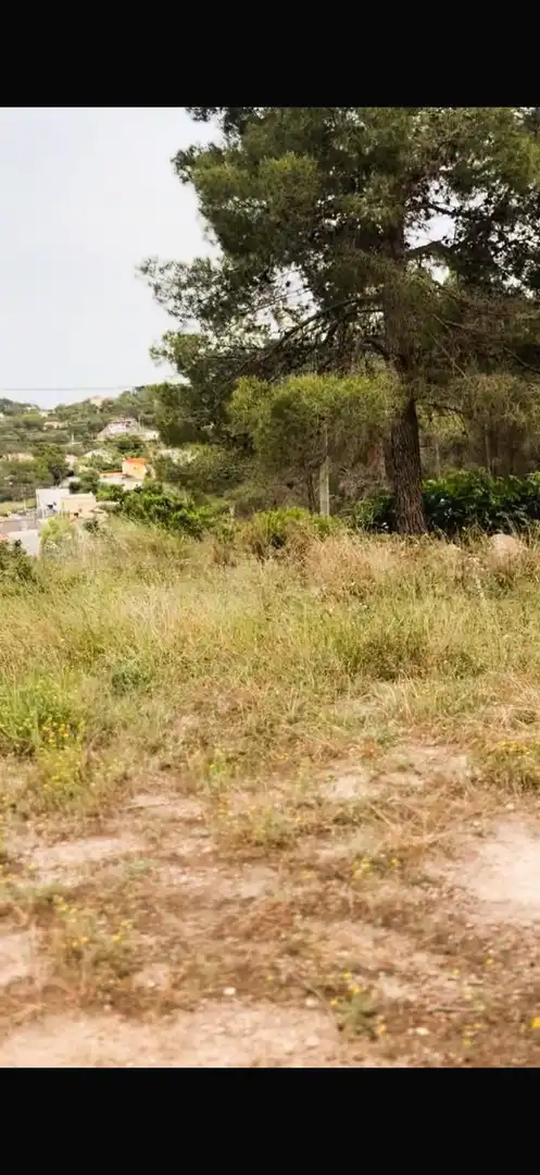 Terrain rustique à vendre à Canyelles, imagen 4