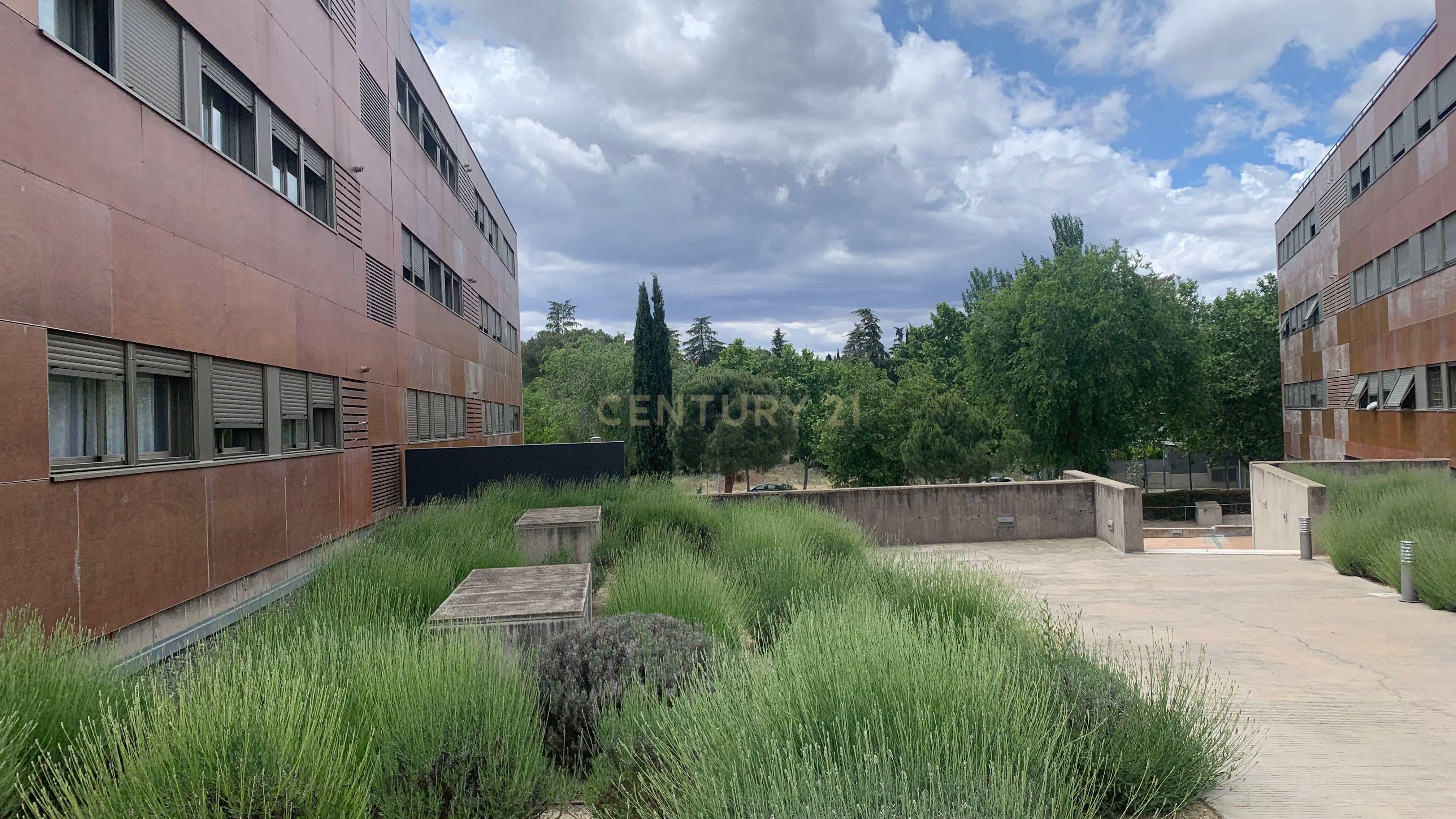 Exterior view of Flat to rent in Pozuelo de Alarcón