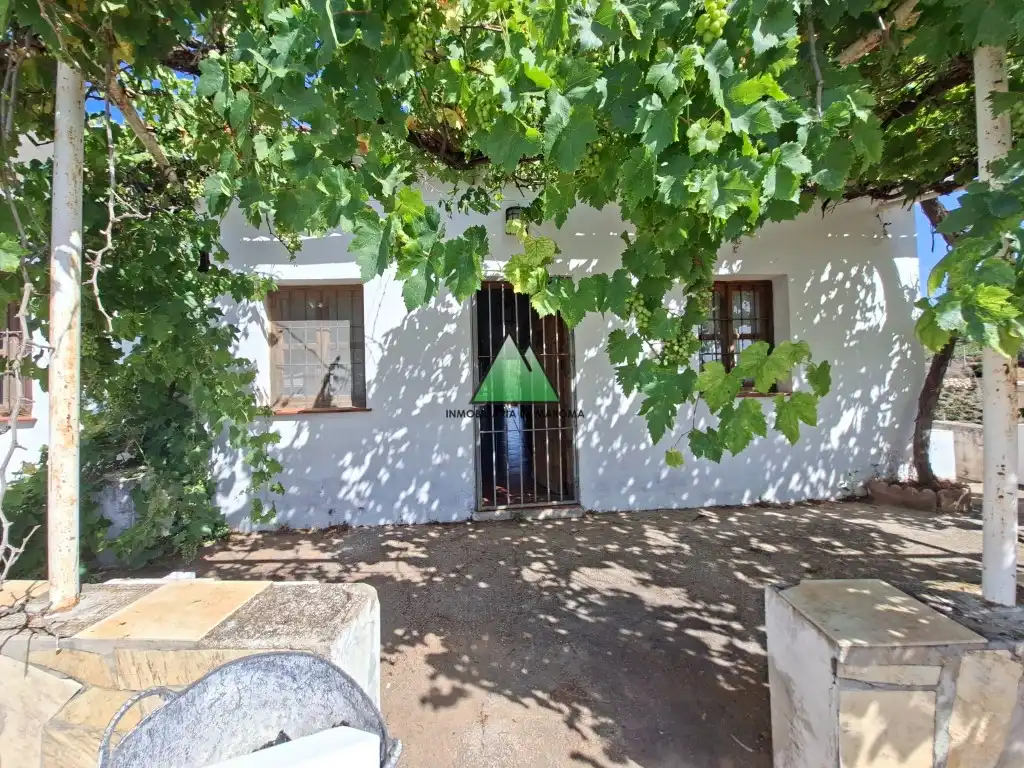 Finca rústica en venda a Carretera Almachar-Velez (Triana) (Triana-Zorrilla, Norte - Barrio del Pilar - El Reñidero