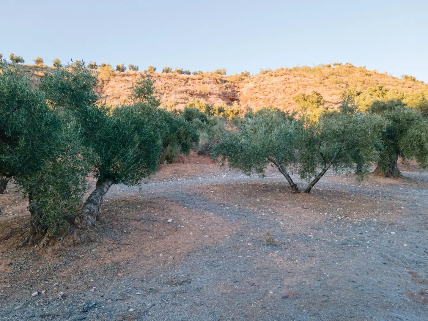 Terreno rustico in vendita a Calicasas, imagen 5