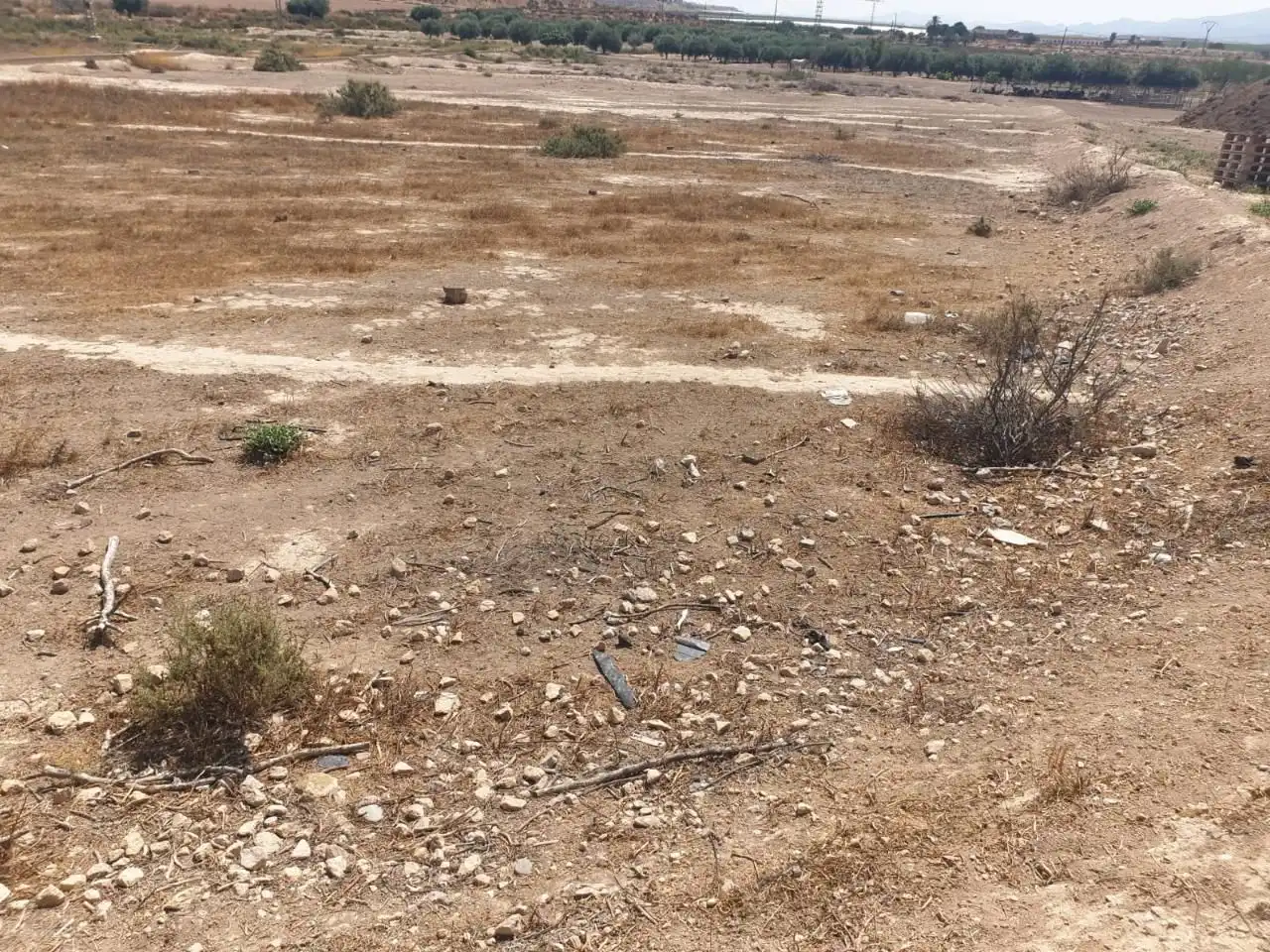 Terreni e lotti in vendita a Alhama de Murcia ciudad, imagen 6