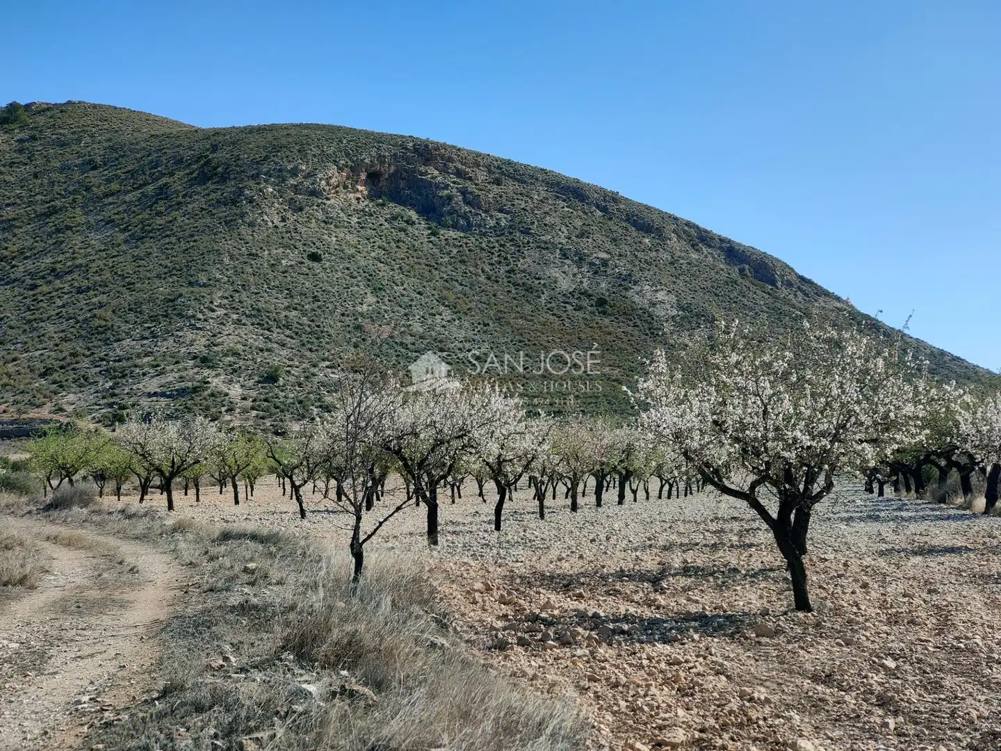Terreno rustico in vendita a La Murada - Los Vicentes, imagen 5