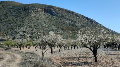SE VENDE PARCELA CON PRODUCCION DE ALMENDROS AL LADO DEL PUEBLO DE BARBARROJA, imatge 5