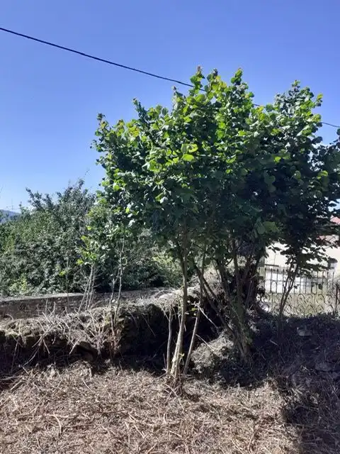 Casa amb terrassa en venda a Merindad de Montija, imagen 6