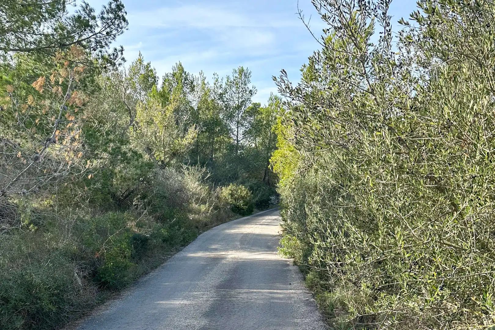 Residential land for sale in Manacor Centre, imagen 9