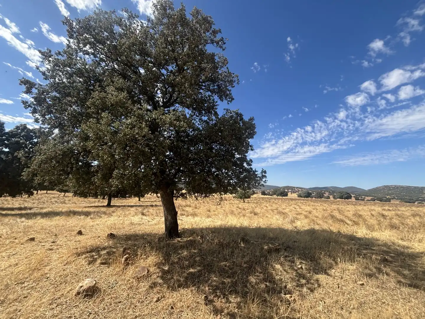 Country homes for sale in Orgaz