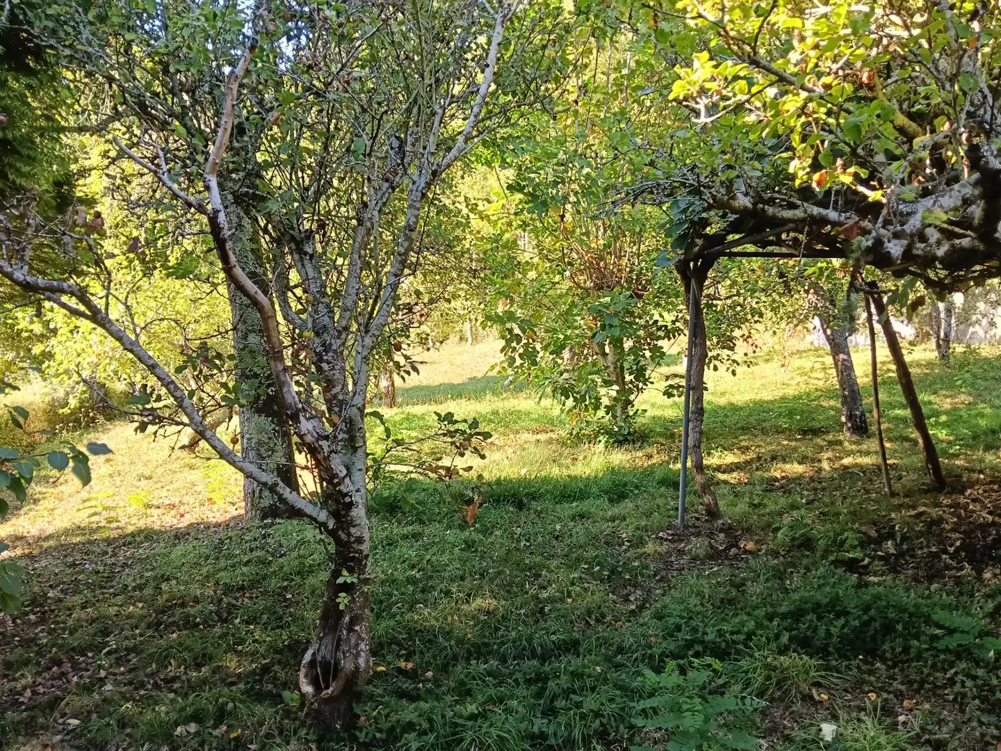 Casa amb jardí en venda a Oza dos Ríos, imagen 14