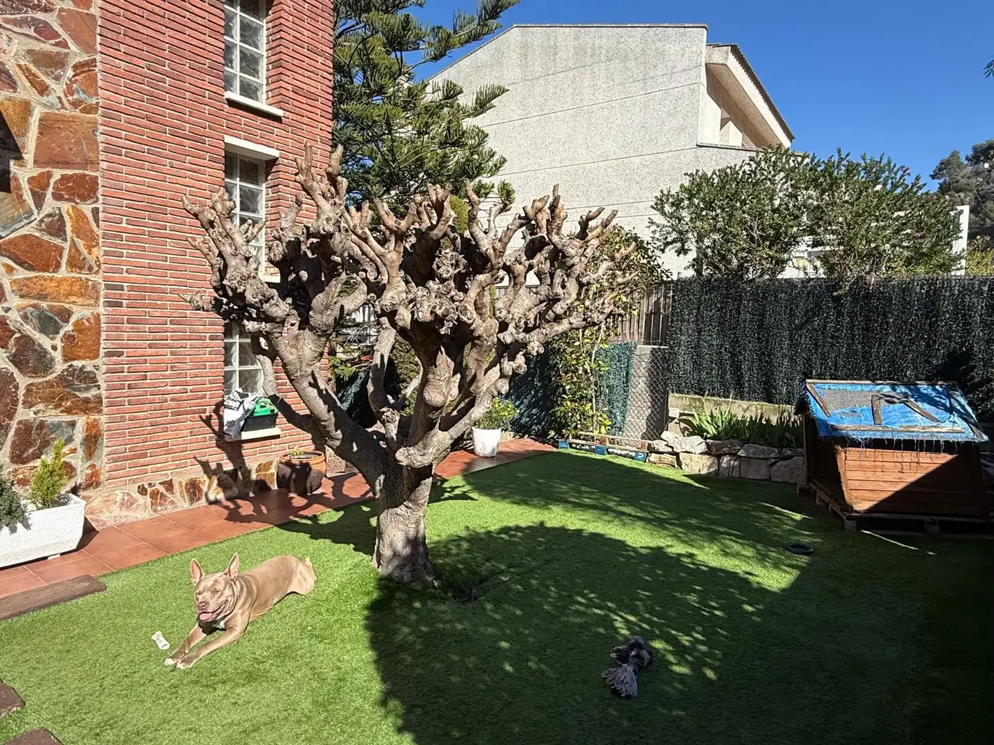 Jardí de Casa o xalet en venda en Cervelló amb Calefacció, Jardí privat i Parquet