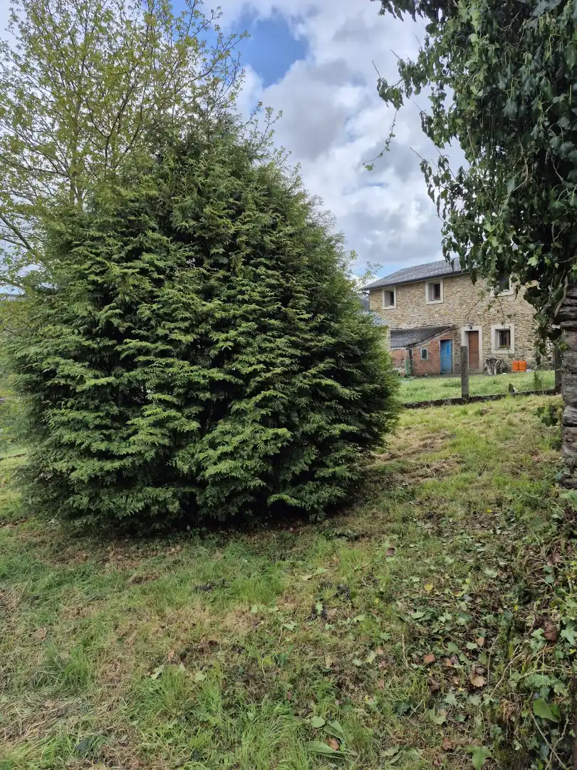 Finca rústica en venta en As Somozas  con Jardín privado
