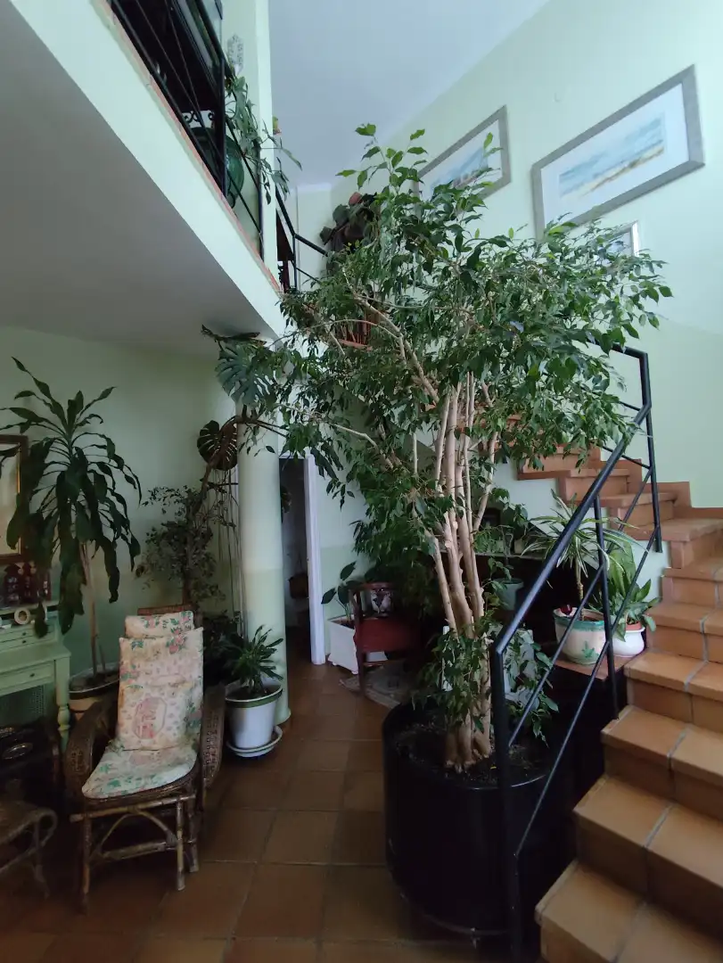 Casa o chalet en venta en Badajoz con Aire acondicionado, Calefacción y Jardín privado