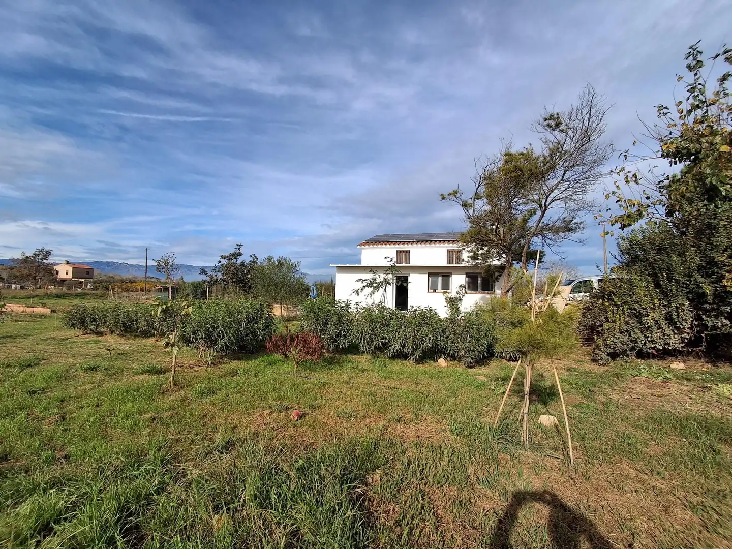 Casa o xalet en venda en Amposta