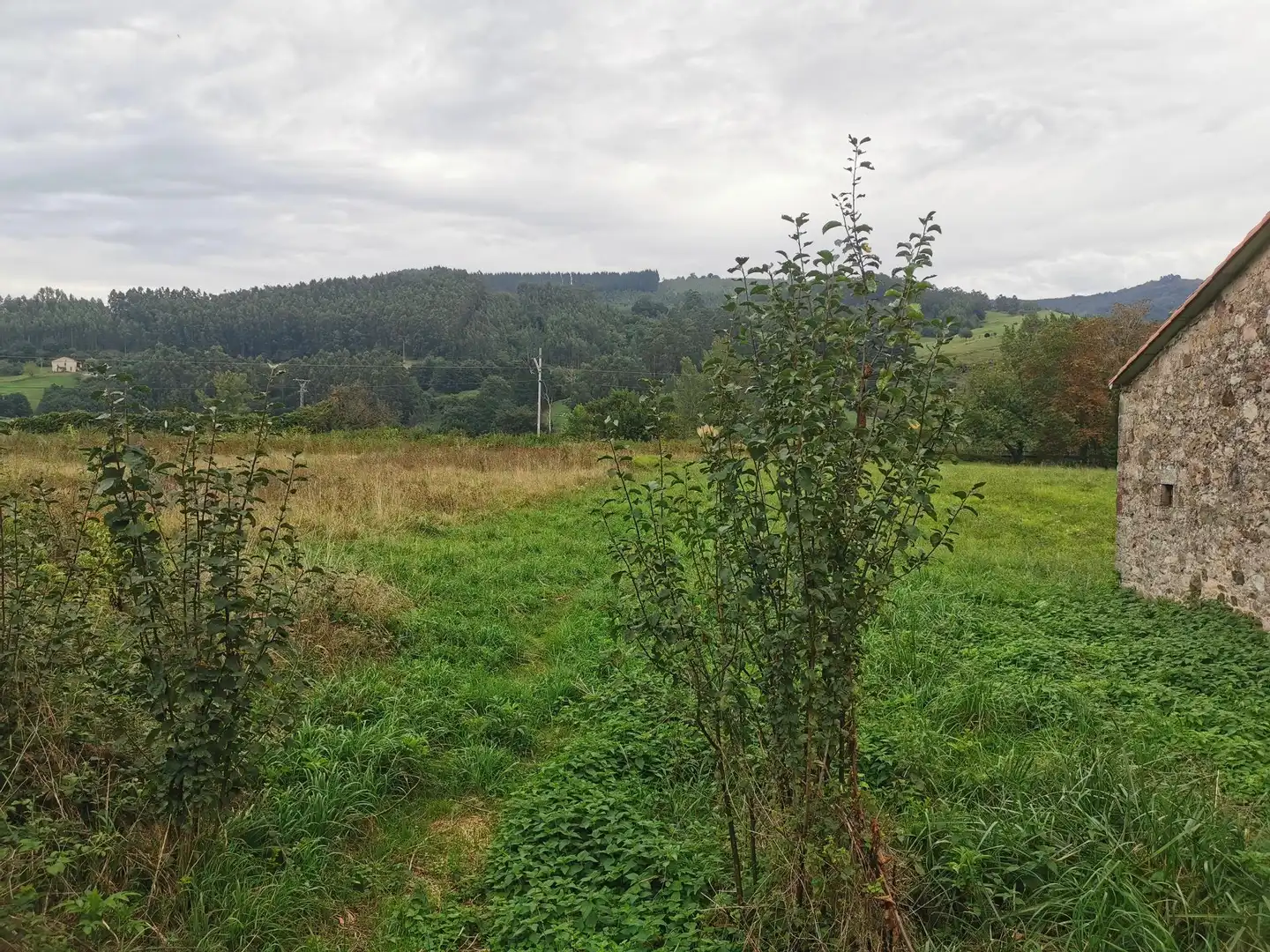 Terreni e lotti in vendita a Los Corrales de Buelna, imagen 18