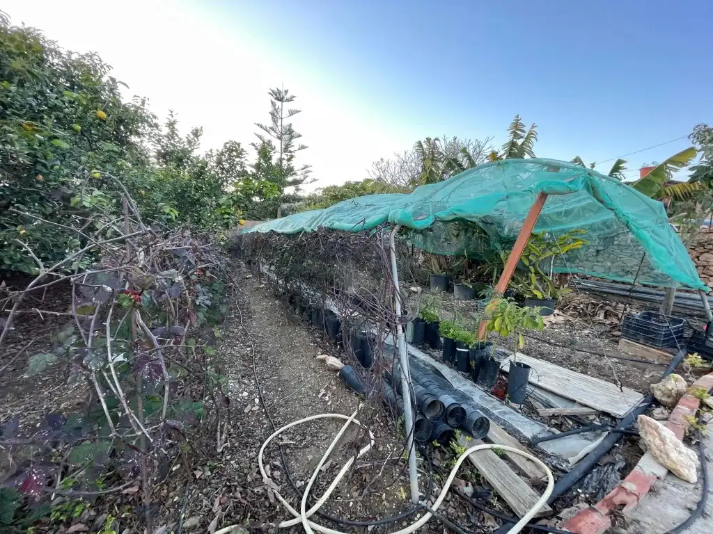 Finca rústica en venta en N/A, Avda Pescia - Ctra de Frigiliana
