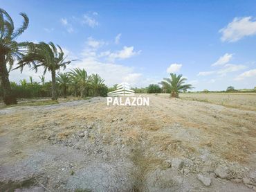 Rural land for sale in Crevillent