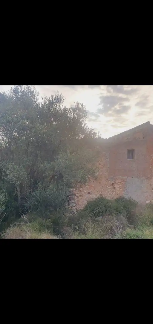 Houses for sale in Benifallet