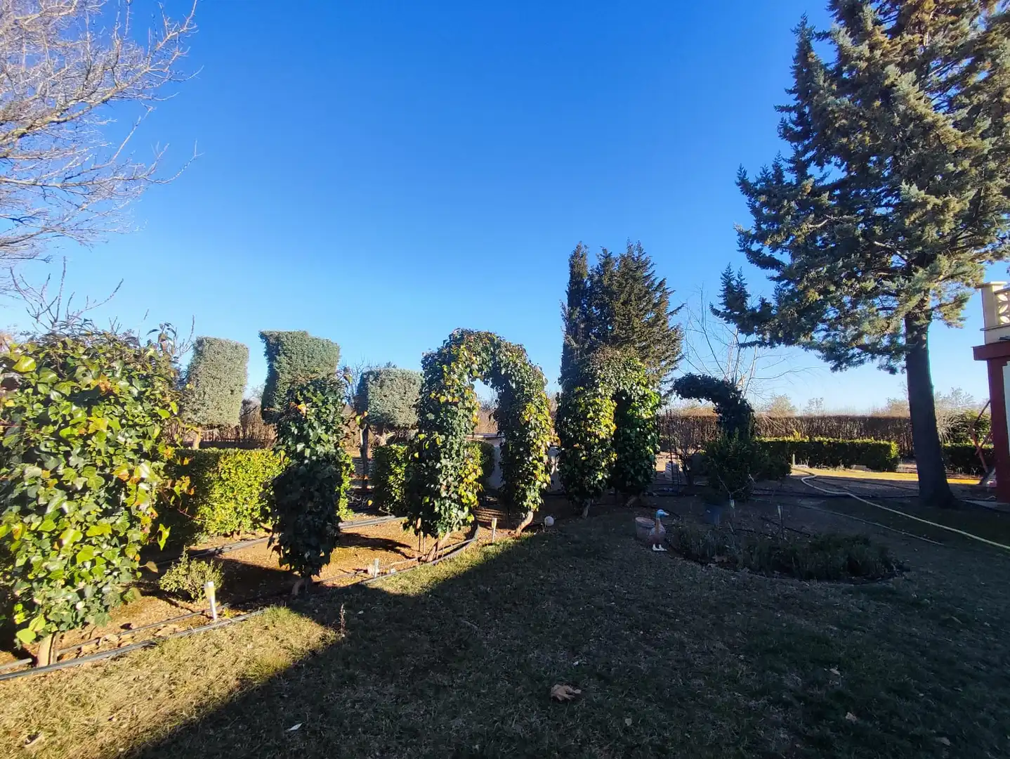 Jardín de Casa o chalet en venta en Manzanares con Aire acondicionado, Jardín privado y Terraza