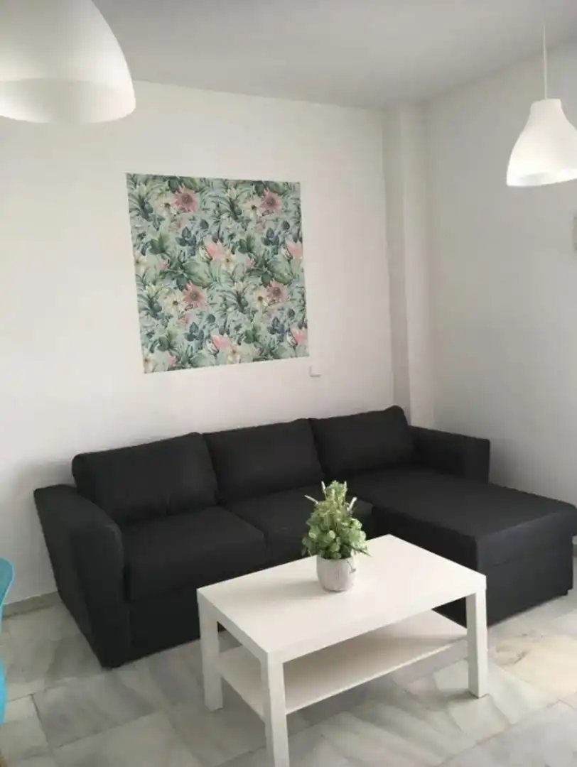 Sala d'estar de Pis en venda en Sevilla amb Aire condicionat, Jardí privat i Moblat