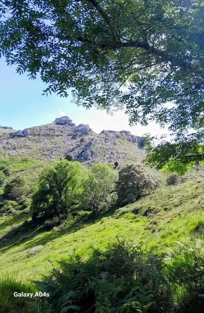 Vista exterior de Finca rústica en venda en Riotuerto amb Balcó