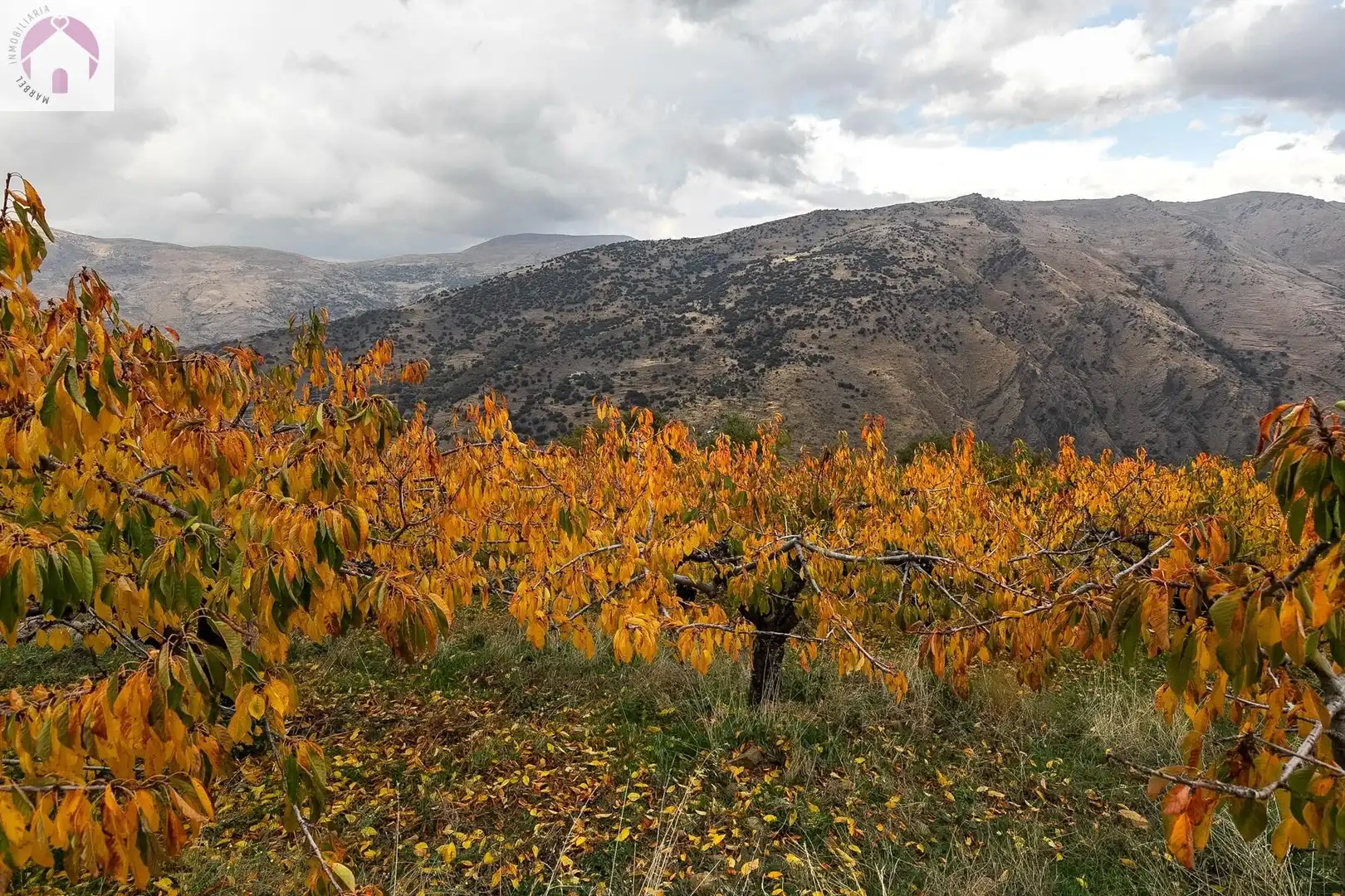 Lands and plots for sale in Güéjar Sierra, imagen 18