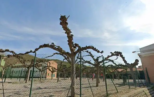Vista exterior de Casa adosada en venta en Ivars de Noguera