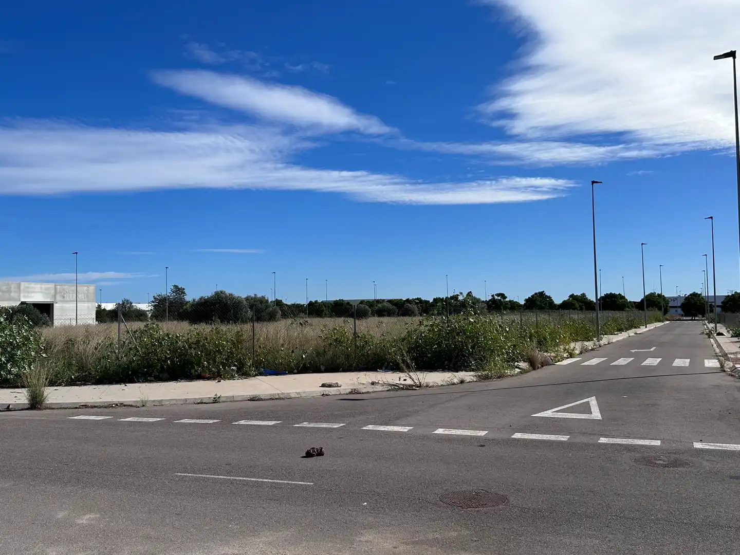 Industrial land for sale in Oeste, imagen 6
