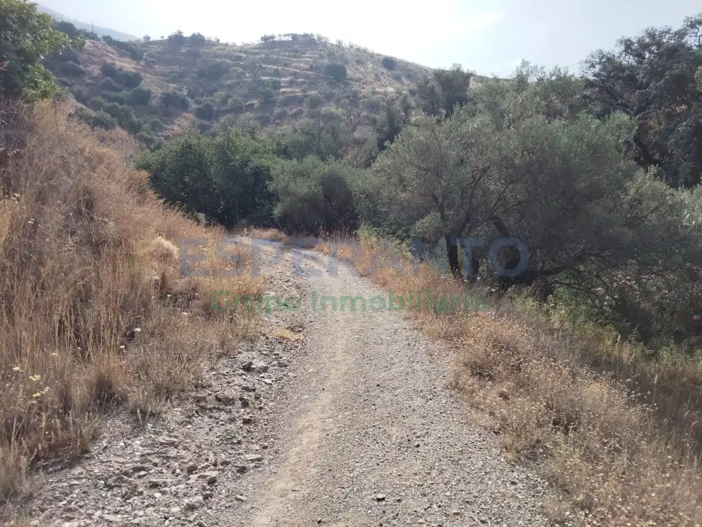 Terreno residencial en venta en Este, imagen 13