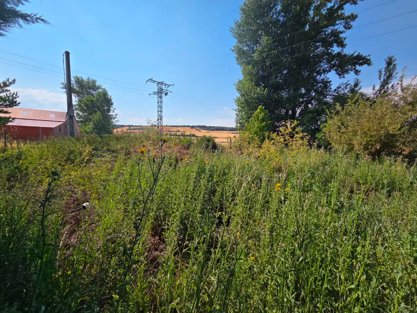 Terreno en venta en Orbaneja Riopico