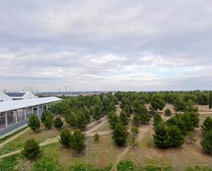 Àtic en venda en  Madrid Capital amb Aire condicionat, Calefacció i Jardí privat