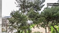 Jardí de Pis de lloguer en  Barcelona Capital amb Aire condicionat, Calefacció i Moblat