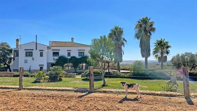 Jardí de Residencial en venda en Chucena