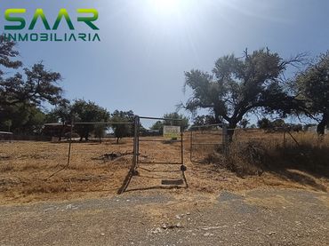 Terrenos y solares en venta en Castilblanco de los Arroyos