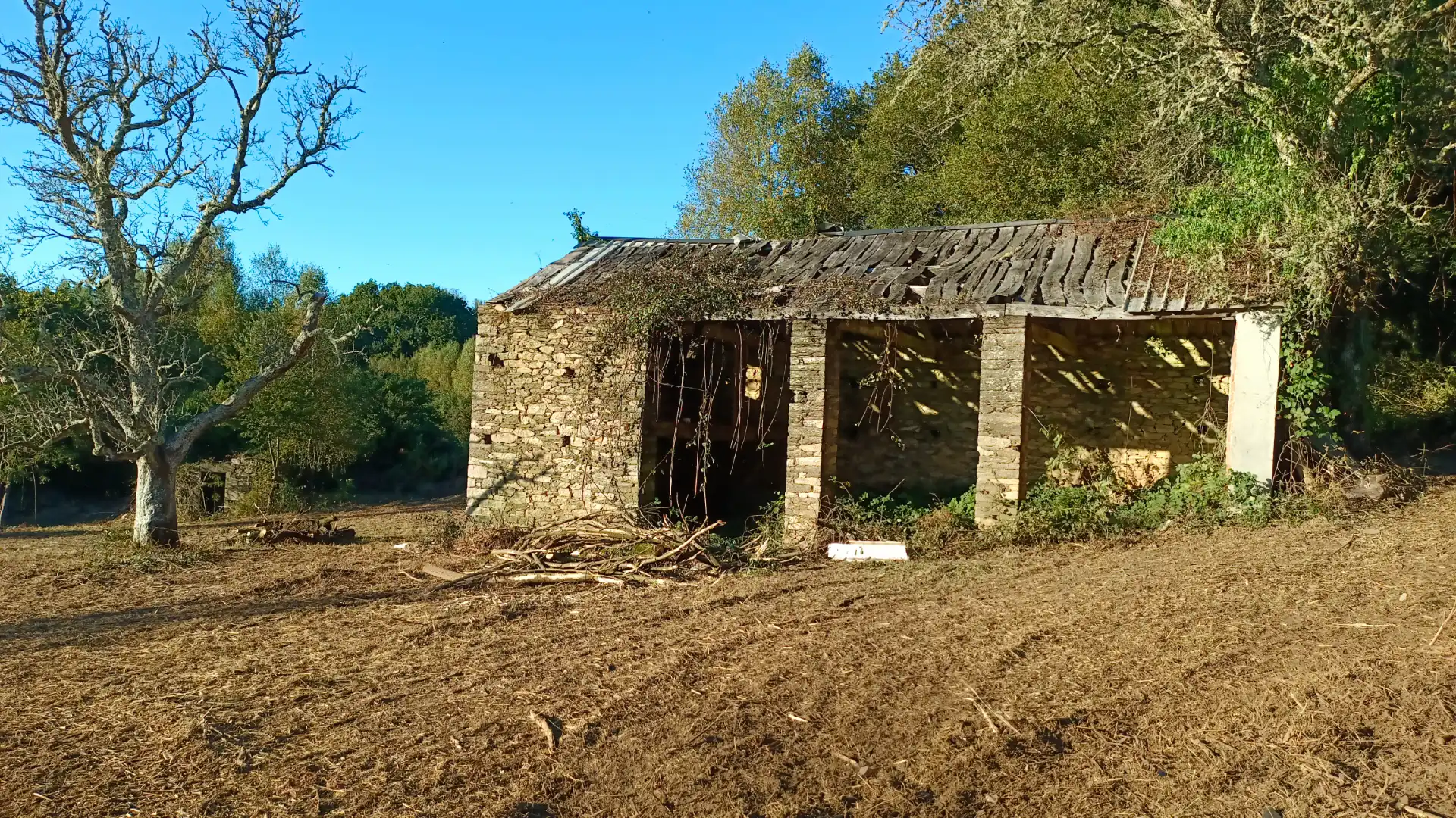 Terreni e lotti in vendita a Vilalba